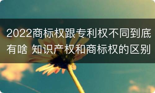 2022商标权跟专利权不同到底有啥 知识产权和商标权的区别