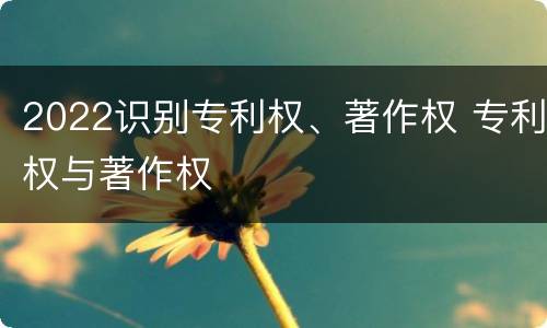 2022识别专利权、著作权 专利权与著作权