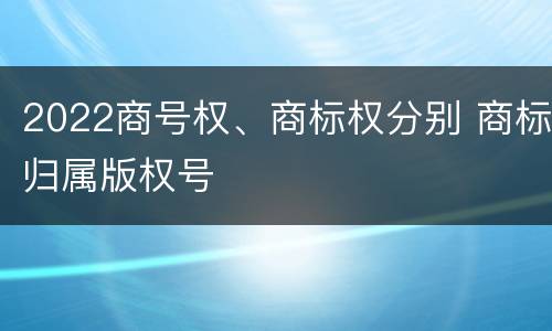 2022商号权、商标权分别 商标归属版权号