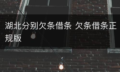 湖北分别欠条借条 欠条借条正规版