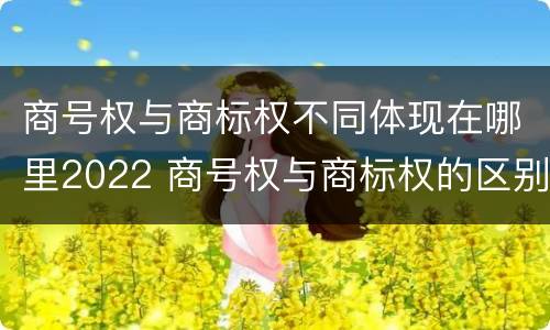 商号权与商标权不同体现在哪里2022 商号权与商标权的区别