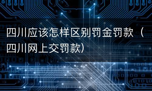 四川应该怎样区别罚金罚款（四川网上交罚款）