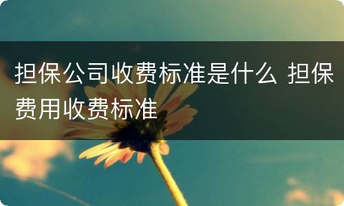担保公司收费标准是什么 担保费用收费标准
