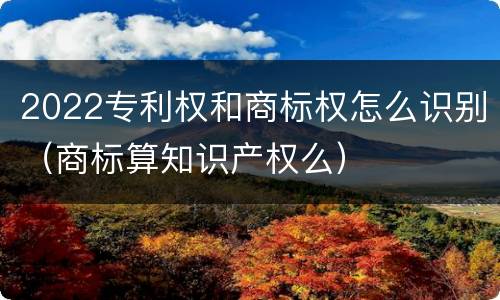2022专利权和商标权怎么识别（商标算知识产权么）
