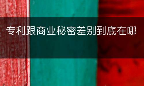 专利跟商业秘密差别到底在哪
