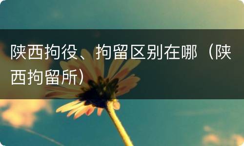 陕西拘役、拘留区别在哪（陕西拘留所）