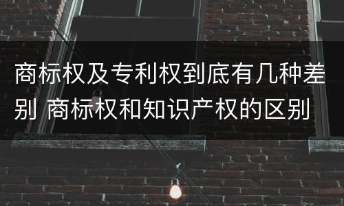 商标权及专利权到底有几种差别 商标权和知识产权的区别