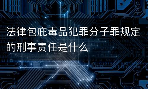 法律包庇毒品犯罪分子罪规定的刑事责任是什么
