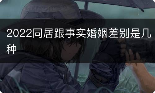 2022同居跟事实婚姻差别是几种