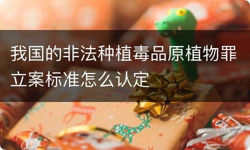 我国的非法种植毒品原植物罪立案标准怎么认定