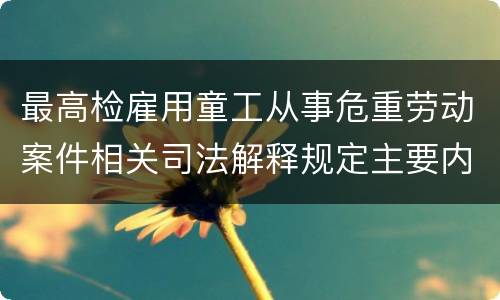 最高检雇用童工从事危重劳动案件相关司法解释规定主要内容是什么