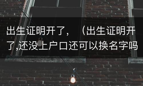 出生证明开了，（出生证明开了,还没上户口还可以换名字吗）