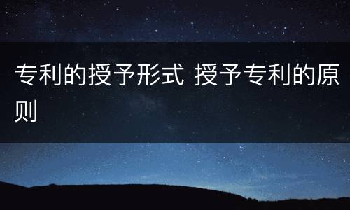 专利的授予形式 授予专利的原则