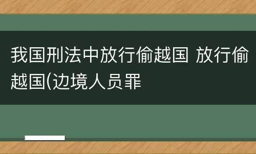 我国刑法中放行偷越国 放行偷越国(边境人员罪