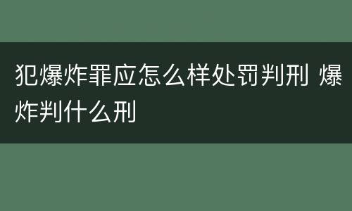 犯爆炸罪应怎么样处罚判刑 爆炸判什么刑