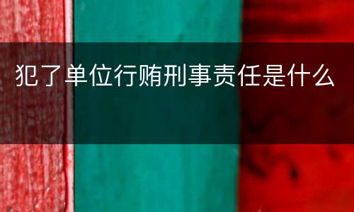 犯了单位行贿刑事责任是什么