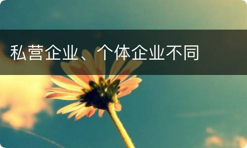 私营企业、个体企业不同