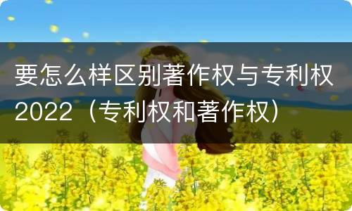 要怎么样区别著作权与专利权2022（专利权和著作权）