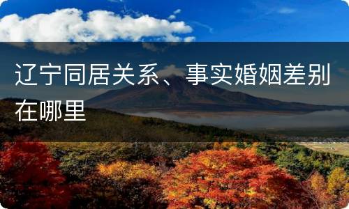辽宁同居关系、事实婚姻差别在哪里