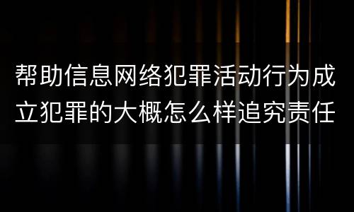 帮助信息网络犯罪活动行为成立犯罪的大概怎么样追究责任