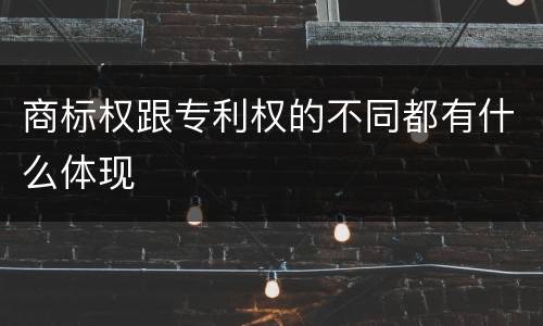 商标权跟专利权的不同都有什么体现