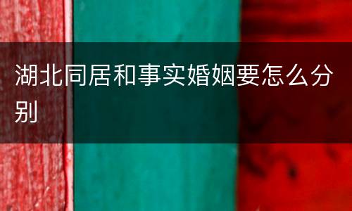 湖北同居和事实婚姻要怎么分别