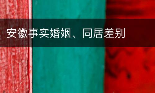 安徽事实婚姻、同居差别