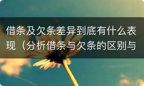 借条及欠条差异到底有什么表现（分析借条与欠条的区别与适用要点）