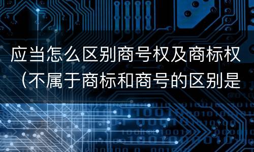 应当怎么区别商号权及商标权（不属于商标和商号的区别是）