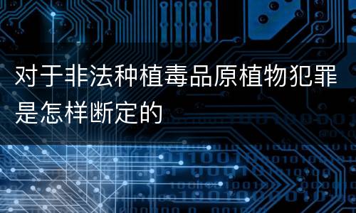 对于非法种植毒品原植物犯罪是怎样断定的