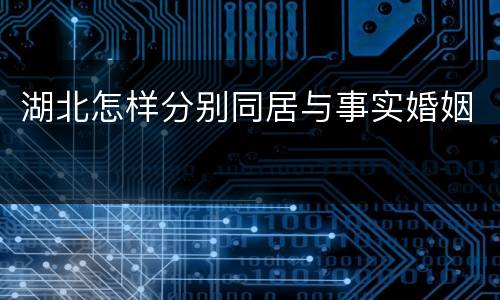 湖北怎样分别同居与事实婚姻