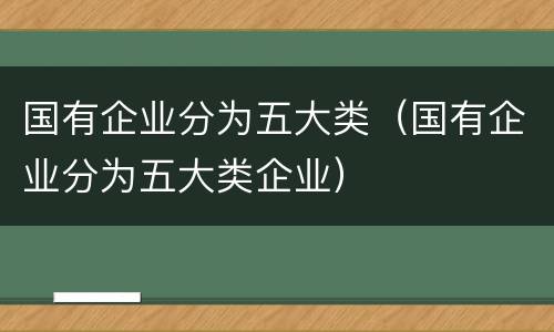 国有企业分为五大类（国有企业分为五大类企业）