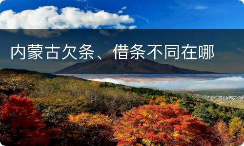内蒙古欠条、借条不同在哪