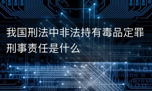我国刑法中非法持有毒品定罪刑事责任是什么
