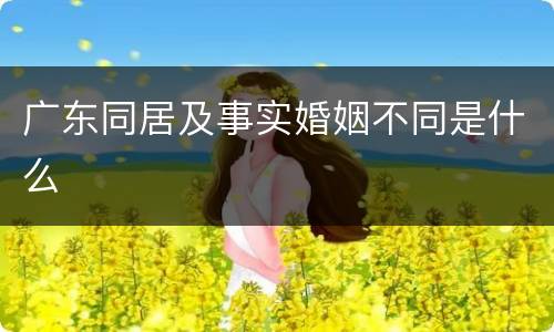 广东同居及事实婚姻不同是什么