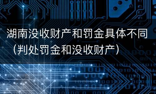 湖南没收财产和罚金具体不同（判处罚金和没收财产）