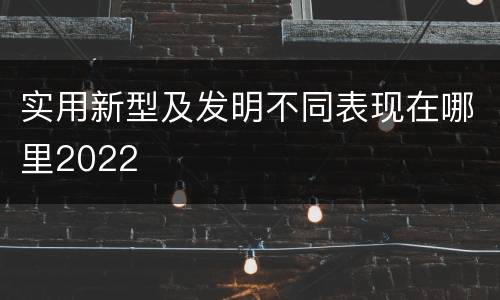 实用新型及发明不同表现在哪里2022