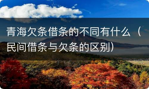 青海欠条借条的不同有什么（民间借条与欠条的区别）