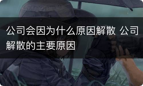 公司会因为什么原因解散 公司解散的主要原因