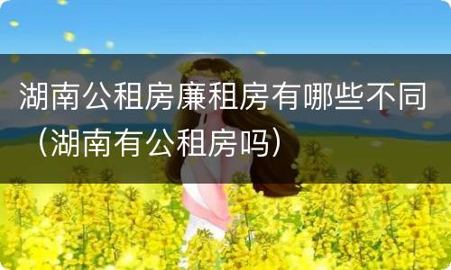 湖南公租房廉租房有哪些不同（湖南有公租房吗）