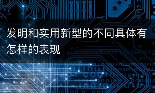 发明和实用新型的不同具体有怎样的表现