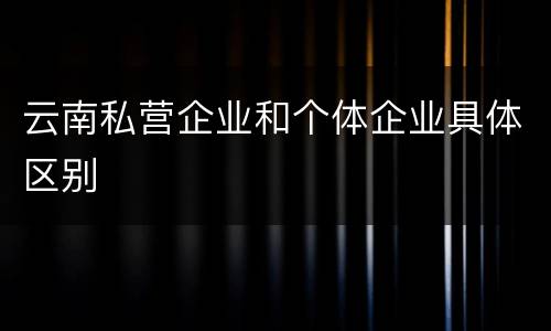 云南私营企业和个体企业具体区别
