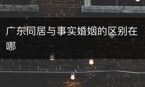 广东同居与事实婚姻的区别在哪