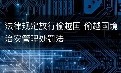 法律规定放行偷越国 偷越国境治安管理处罚法