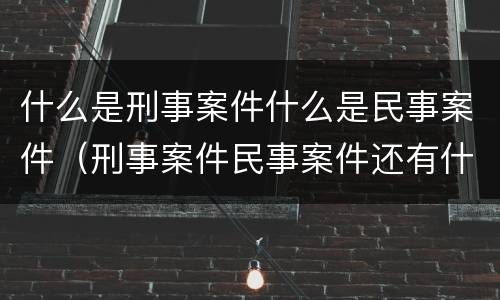 什么是刑事案件什么是民事案件（刑事案件民事案件还有什么案件）
