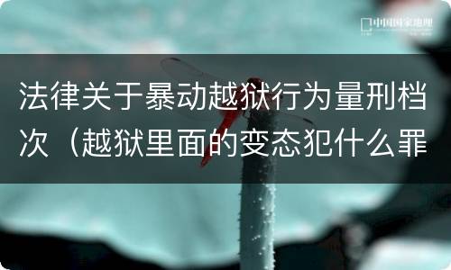 法律关于暴动越狱行为量刑档次（越狱里面的变态犯什么罪）