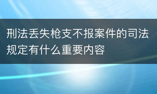 刑法丢失枪支不报案件的司法规定有什么重要内容