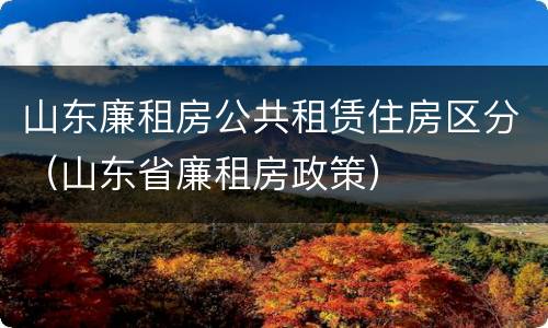 山东廉租房公共租赁住房区分（山东省廉租房政策）