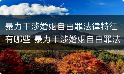 暴力干涉婚姻自由罪法律特征有哪些 暴力干涉婚姻自由罪法律特征有哪些呢