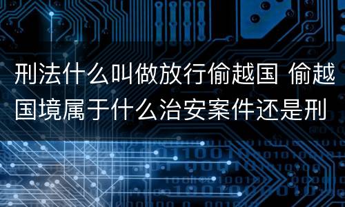 刑法什么叫做放行偷越国 偷越国境属于什么治安案件还是刑事案件